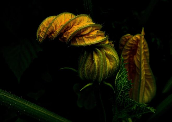 Architecting Fitness Within The Constraints Of Home