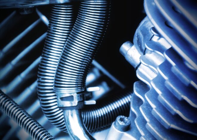 Beyond The Pitch: Decoding Sustainable Founder Resilience