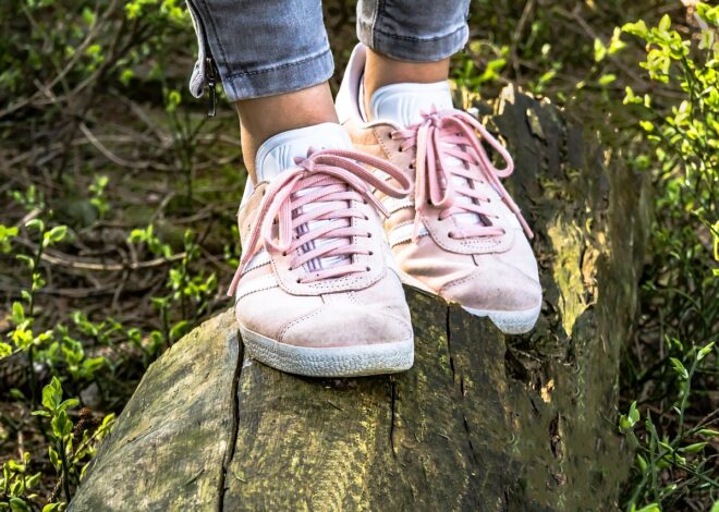 Architecting Longevity Through Small Daily Micro-Habits