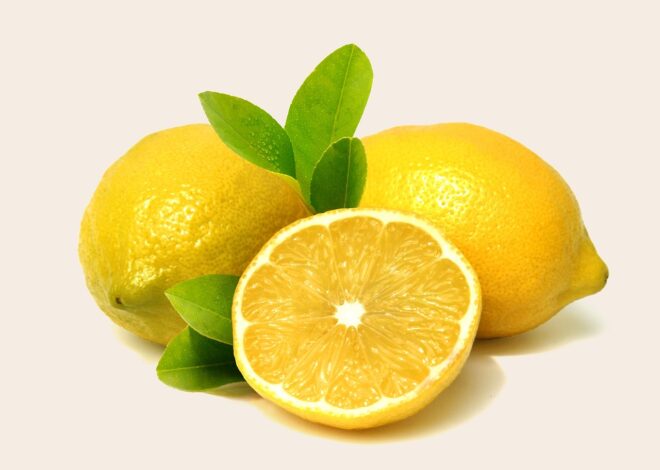 Beyond Macros: The Architecture Of Sustained Vitality