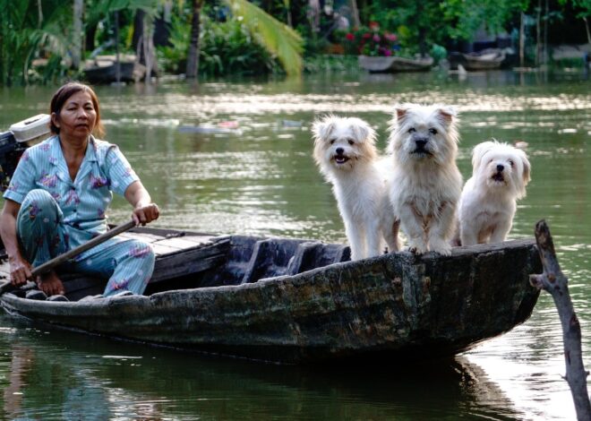 Beyond Discipline: The Architecture Of Sustained Creative Drive