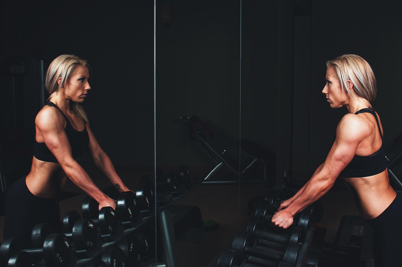 Architecting Longevity Through Controlled Progressive Resistance