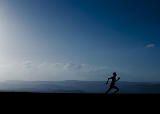 Anatomy Of Stillness: Neurobiology Beyond The Mat