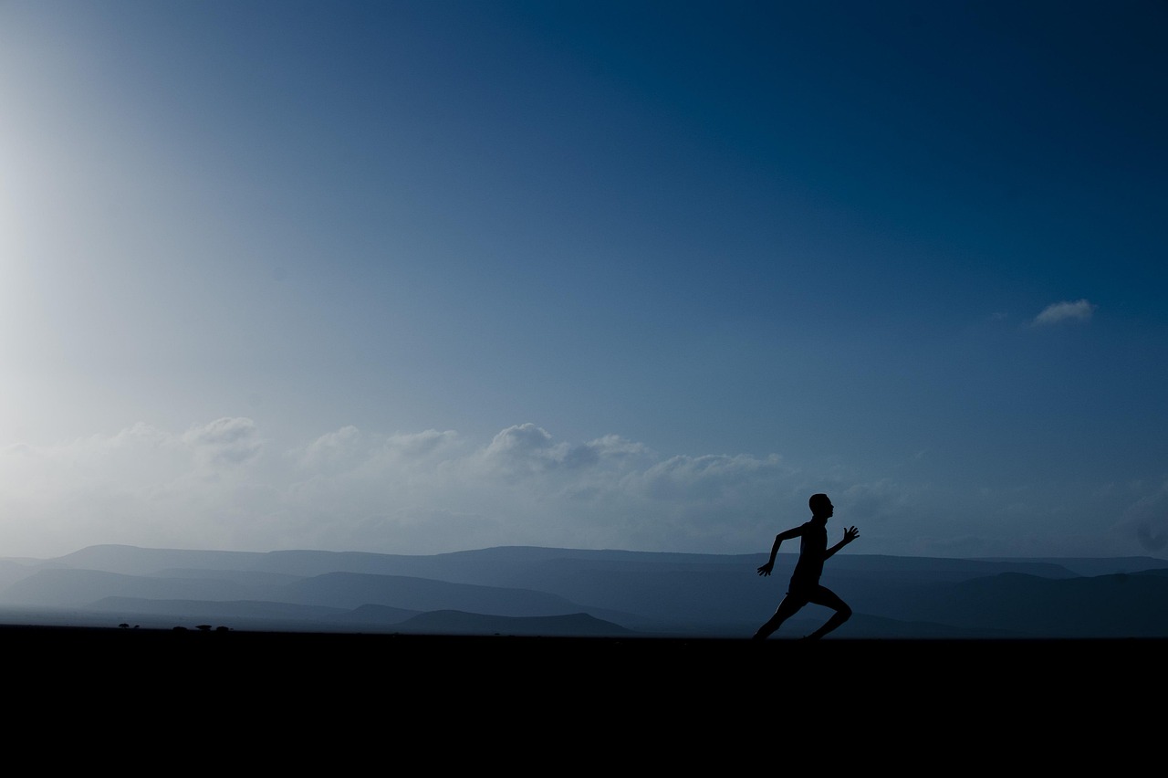 Anatomy Of Stillness: Neurobiology Beyond The Mat