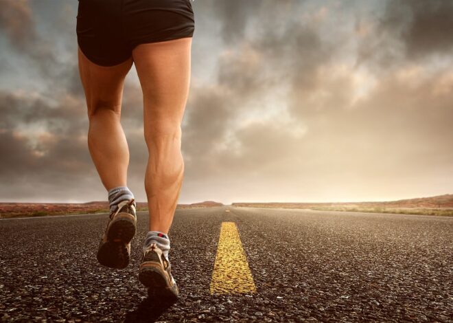 The Architecture Of Metabolic Flexibility And Sustainable Fueling
