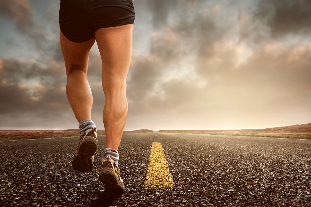 The Architecture Of Metabolic Flexibility And Sustainable Fueling