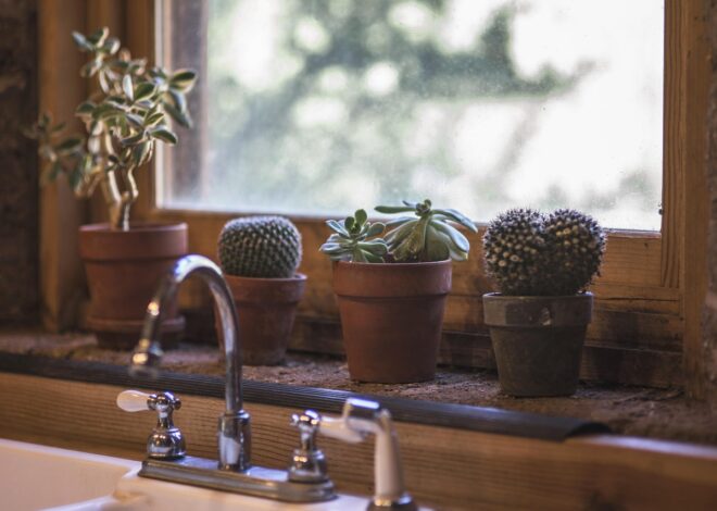 The Architecture Of Intimacy: Designing Modern Domestic Calm