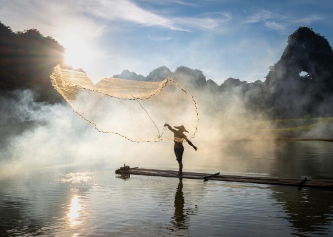 The Architectural Biology Of Sustained Human Performance