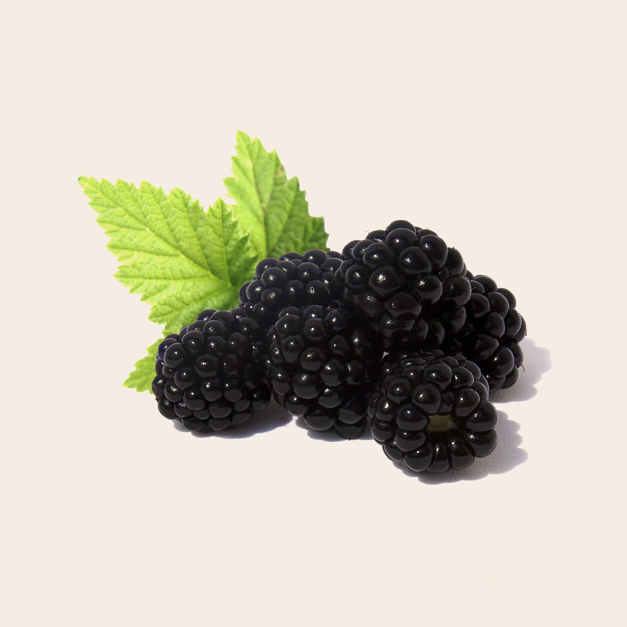 Metabolic Precision: Mapping The Future Of Personalized Fuel